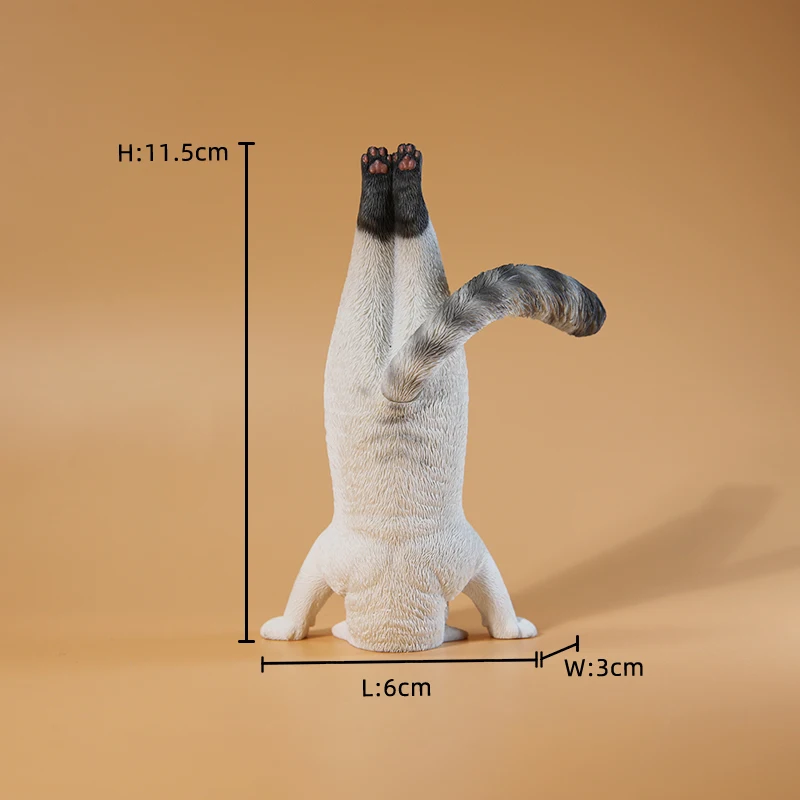 1/6 Yoga-Katzenmodell, Simulat – Yoga Fitness Model Bewertung und Preis