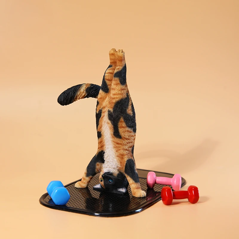 1/6 Yoga-Katzenmodell, Simulat – Yoga Fitness Model Bewertung und Preis