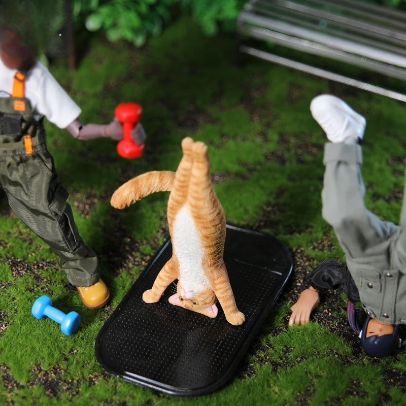 1/6 Yoga-Katzenmodell, Simulat – Yoga Fitness Model Bewertung und Preis